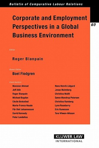 Könyv Corporate and Employment Perspectives in a Global Business Environment Boel Flodgren