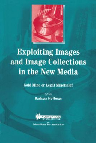 Kniha Exploiting Images and Image Collections in the New Media Barbara Hoffman