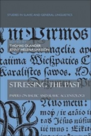 Buch Stressing the past Thomas Olander