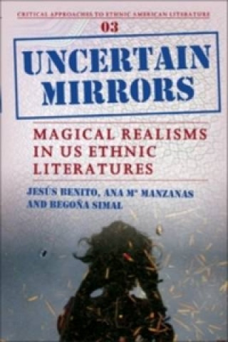 Knjiga Uncertain Mirrors Begona Simal