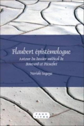 Buch Flaubert epistemologue Norioki Sugaya