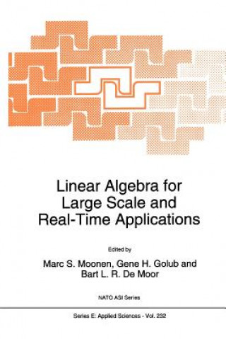 Kniha Linear Algebra for Large Scale and Real-Time Applications B. L. De Moor