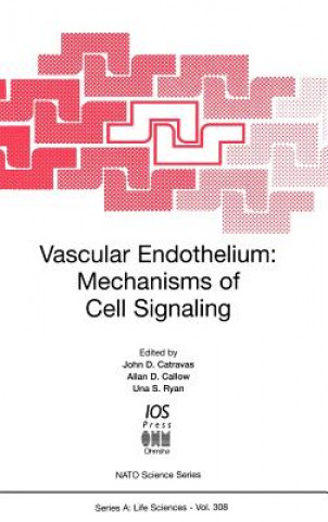 Könyv Vascular Endothelium Allan D. Callow