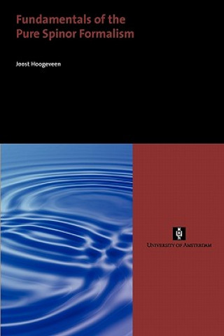 Carte Fundamentals of the Pure Spinor Formalism Joost Hoogeveen