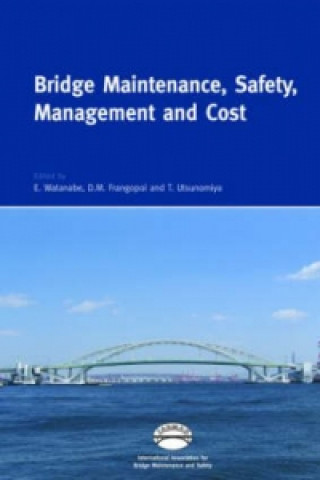 Kniha Bridge Maintenance, Safety, Management and Cost 