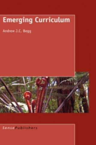 Kniha Emerging Curriculum Andrew J C Begg