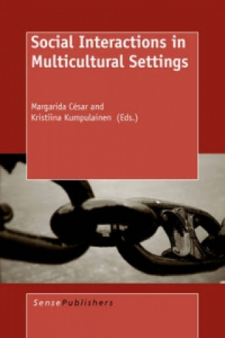 Buch Social Interactions in Multicultural Settings Margarida Csar