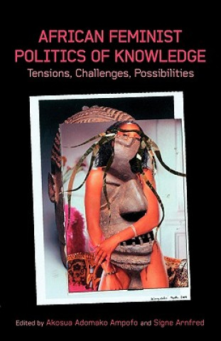 Buch African Feminist Politics of Knowledge. Tensions, Challenges, Possibilities Akosua Adomako Ampofo