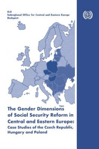 Könyv Gender Dimensions of Social Security Reform in Central and Eastern Europe Elaine Fultz