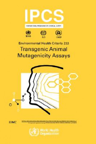 Buch Transgenic Mutagenicity Assays Ipcs