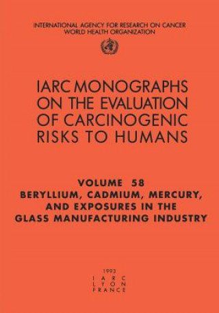 Libro Beryllium, Cadmium, Mercury, and exposures in the glass manufacturing industry International Agency for Research on Cancer