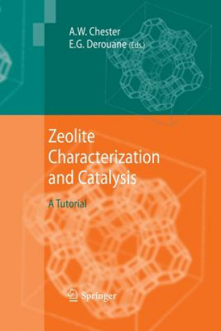 Könyv Zeolite Characterization and Catalysis Arthur W. Chester