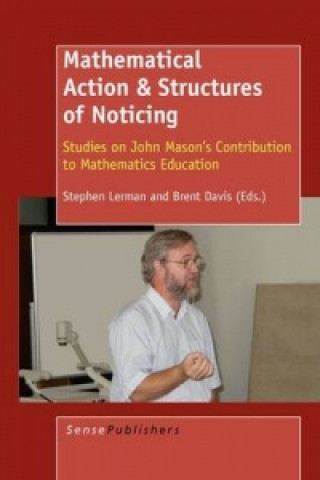 Livro Mathematical Action & Structures of Noticing Stephen Lerman