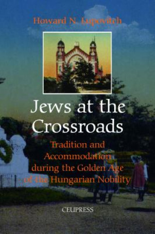 Kniha Jews at the Crossroads Howard N. Lupovitch