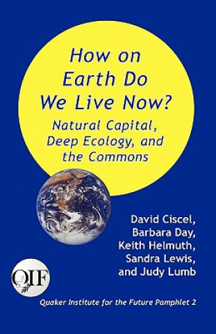 Buch How on Earth Do We Live Now? Natural Capital, Deep Ecology and the Commons Sandra Lewis