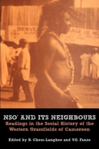 Könyv Nso and Its Neighbours B. Chem-Langhee