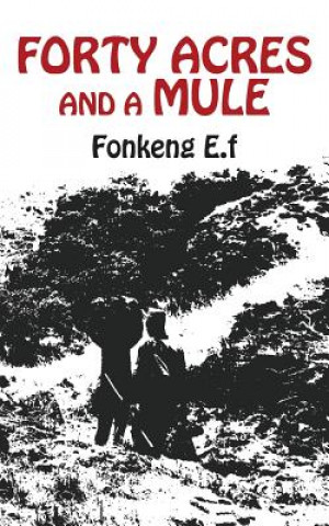 Könyv Forty Acres and a Mule E F Fonkeng