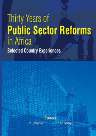 Kniha Thirty Years of Public Sector Reforms in Africa. Selected Country Experiences Paulos Chanie