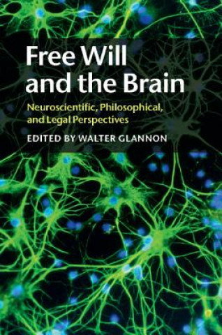 Könyv Free Will and the Brain Walter Glannon