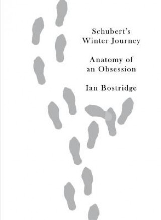 Kniha Schubert's Winter Journey Ian Bostridge