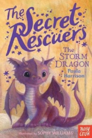 Kniha Secret Rescuers: The Storm Dragon Paula Harrison