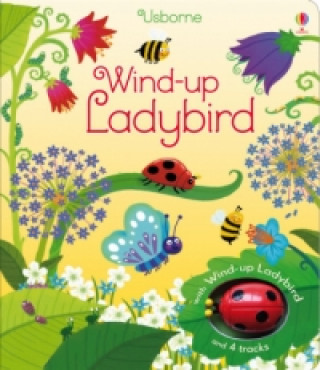 Kniha Wind-up Ladybird Fiona Watt