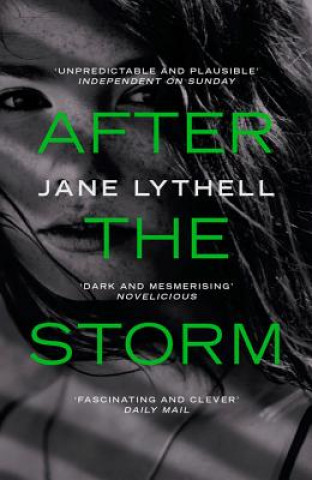 Kniha After the Storm Jane Lythell