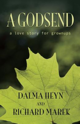 Buch Godsend Dalma Heyn