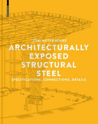 Könyv Architecturally Exposed Structural Steel Terri Meyer Boake