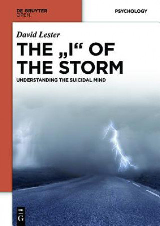 Kniha "I" OF THE STORM Lester