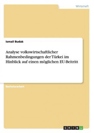 Kniha Analyse volkswirtschaftlicher Rahmenbedingungen der Turkei im Hinblick auf einen moeglichen EU-Beitritt Ismail Budak