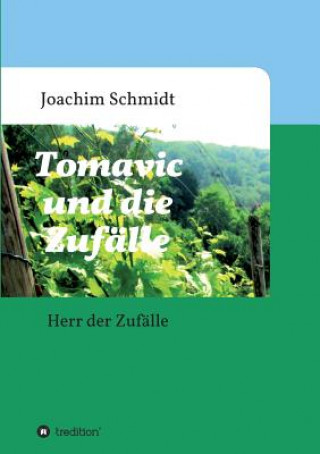 Book Tomavic und die Zufalle Joachim Schmidt