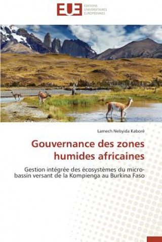 Kniha Gouvernance Des Zones Humides Africaines Kabore-L