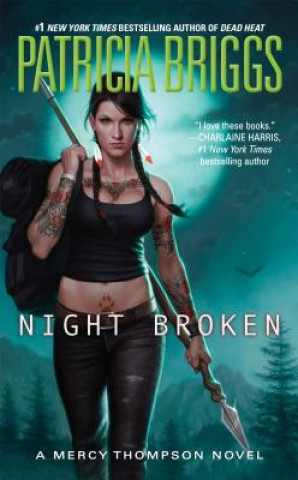 Kniha Night Broken Patricia Briggs
