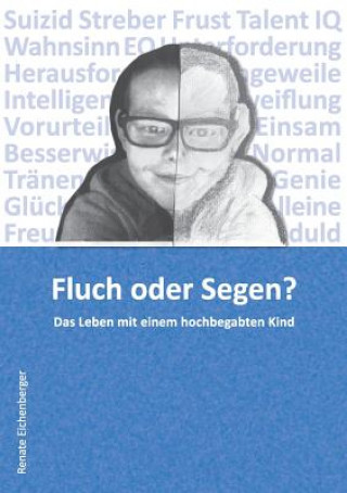 Livro Fluch oder Segen? Renate Eichenberger