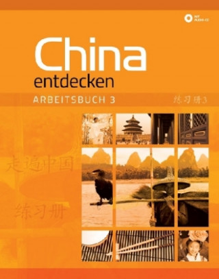 Carte China entdecken - Arbeitsbuch 3, m. 1 Audio-CD Dan Wang