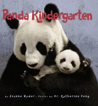 Kniha Panda Kindergarten Joanne Ryder