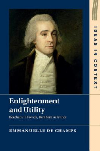 Kniha Enlightenment and Utility Emmanuelle de Champs