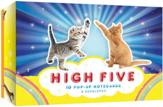Knjiga High Five! Notecards Chronicle Books