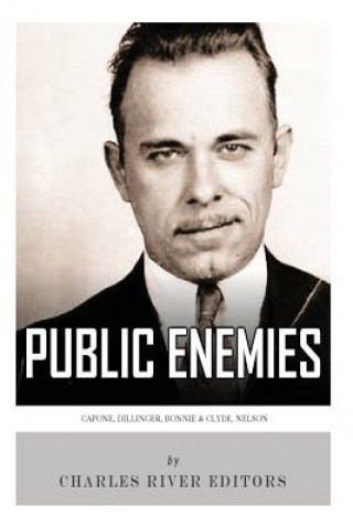 Книга Public Enemies Charles River Editors