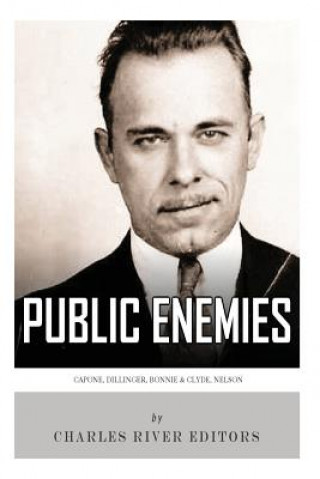 Książka Public Enemies Charles River Editors