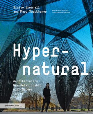 Book Hypernatural Blaine Brownell