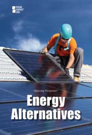 Книга Energy Alternatives 