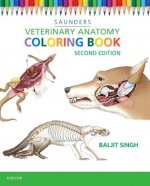 Carte Veterinary Anatomy Coloring Book Saunders