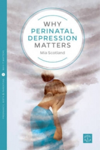 Buch Why Postnatal Depression Matters Mia Scotland