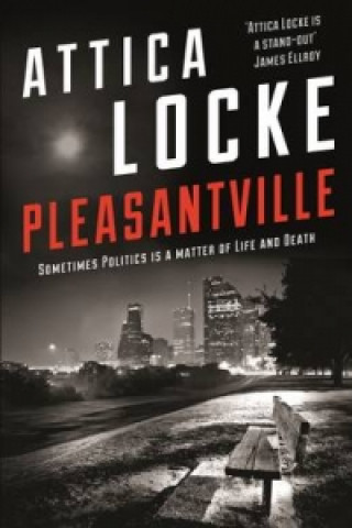 Könyv Pleasantville 