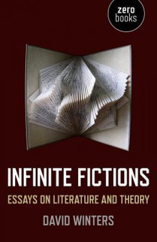 Carte Infinite Fictions - Essays on Literature and Theory David Winters