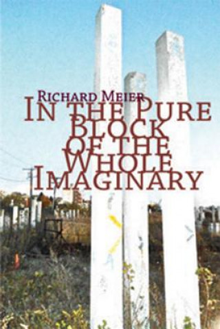 Kniha In the Pure Block of the Pure Imaginery Richard Meier