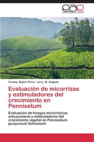 Book Evaluacion de micorrizas y estimuladores del crecimiento en Pennisetum Mujica Perez Yonaisy