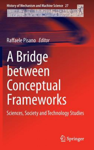 Książka Bridge between Conceptual Frameworks Raffaele Pisano